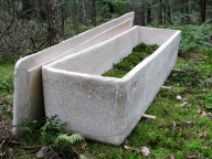 „Zero waste“ trend v pohrebníctve: rozložiteľné rakvy šetria prírodu