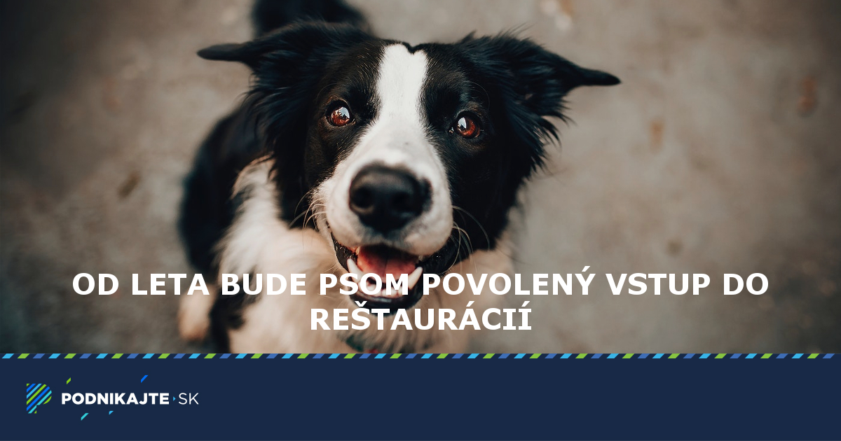 So psom do kaviarne? Od leta by to už nemal byť problém | Podnikajte.sk